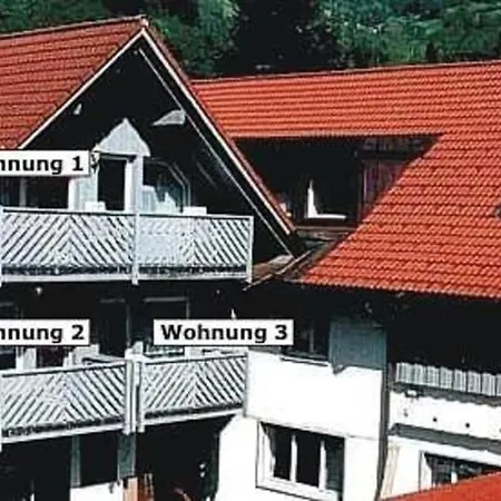 アパート Goldmann - Ferienwohnung 1 Schönau im Schwarzwald