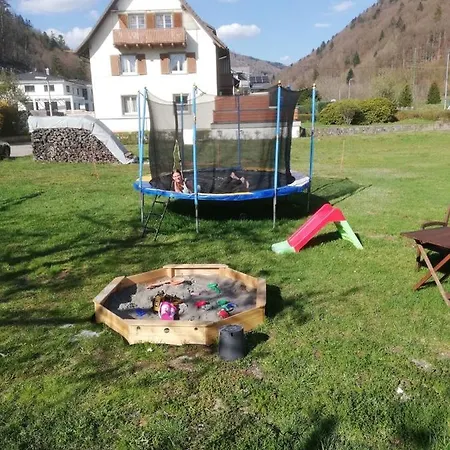 Goldmann - Ferienwohnung 1 Schönau im Schwarzwald